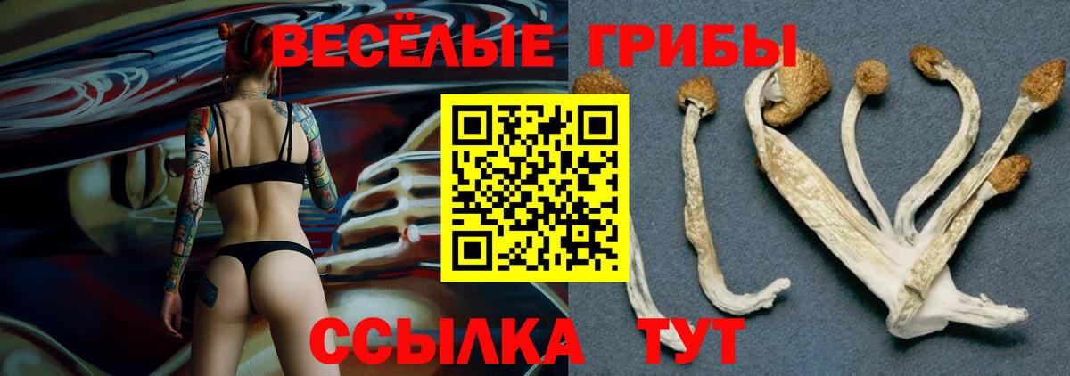 Псилоцибиновые грибы ЛСД Черногорск